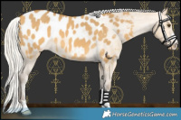 Horse Color:Silver Buckskin Dun Blanket 