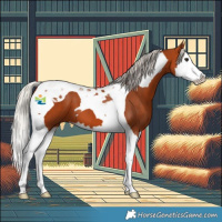 Horse Color:Silver Bay Splash Tobiano 