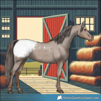 Horse Color:Liver Red Dun Snowcap 
