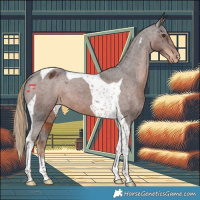 Horse Color:Liver Chestnut Tobiano Appaloosa 