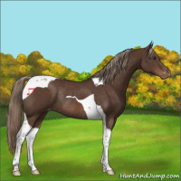 Horse Color:Liver Chestnut Tobiano Varnish Rabicano 