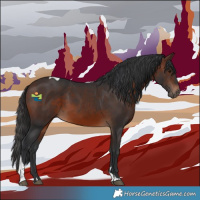 Horse Color:Brown Tobiano 