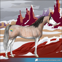 Horse Color:Bay Roan Splash 