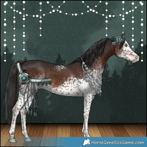 Horse Color:White Spotted Liver Chestnut 