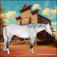 Horse Color:Silver Buckskin Chinchilla Dun 
