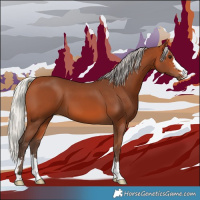 Horse Color:Silver Bay 