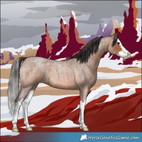 Horse Color:Bay Roan Splash 