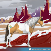 Horse Color:Buckskin Tobiano 