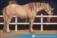 Horse Color:Painted Gold Champagne Rabicano 