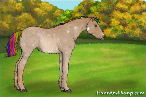 Horse Color:Painted Chestnut Rabicano 