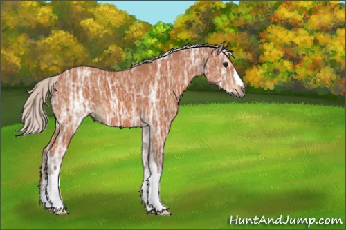 Horse Color:Silver Bay Ice 