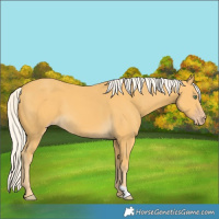 Horse Color:Silver Amber Cream Champagne 