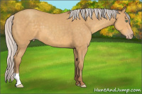 Horse Color:Silver Sable Cream Champagne 