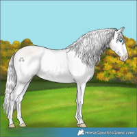 Horse Color:White Spotted Silver Classic Champagne Splash Appaloosa 