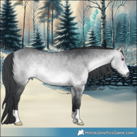 Horse Color:Bay Chinchilla 
