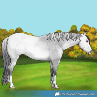 Horse Color:Bay Chinchilla Dun