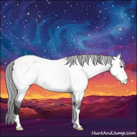 Horse Color:Buckskin Chinchilla Dun Appaloosa 