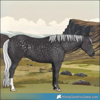 Horse Color:Silver Smoky Black Chinchilla 