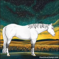 Horse Color:Silver Buckskin Chinchilla Dun Varnish 
