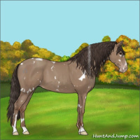 Horse Color:White Spotted Classic Champagne Sabino 
