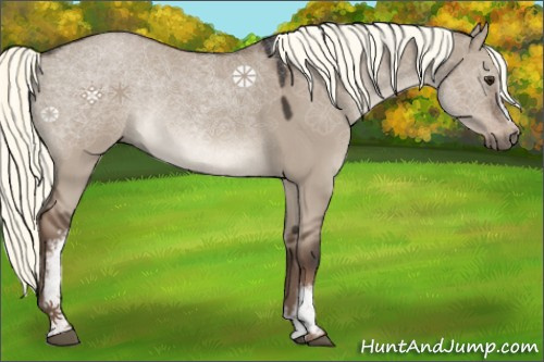 Horse Color:White Spotted Liver Red Dun Mushroom Sabino 