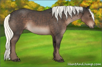 Horse Color:Liver Red Roan Mushroom 