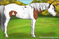 Horse Color:Brown Splash Tobiano 