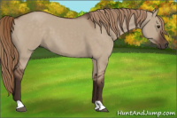 Horse Color:Liver Red Dun 