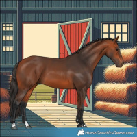 Horse Color:Bay 