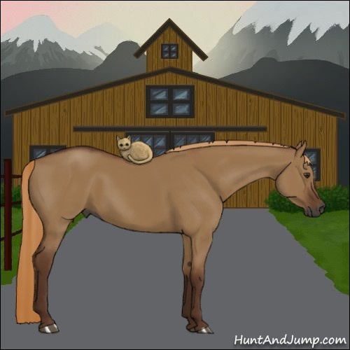 Horse Color:Gray Red Dun 