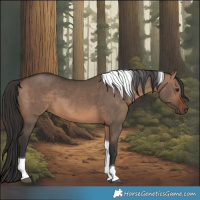 Horse Color:Brown Dun Tobiano 
