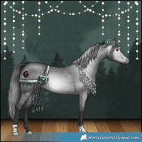 Horse Color:Gray Liver Red Roan Rabicano 