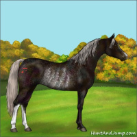 Horse Color:Midnight Silver Brown Rabicano 