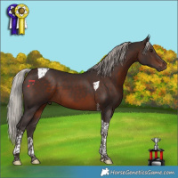 Horse Color:Silver Brown Tobiano 
