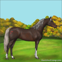 Horse Color:Silver Brown Tobiano 