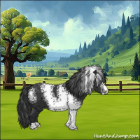 Horse Color:White Spotted Black 