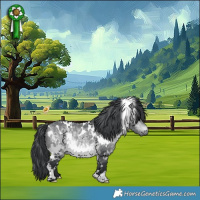 Horse Color:White Spotted Bay Chinchilla 