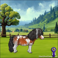 Horse Color:White Spotted Brown 