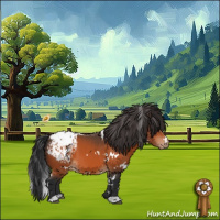 Horse Color:White Spotted Bay Appaloosa