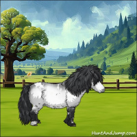 Horse Color:White Spotted Bay Chinchilla 