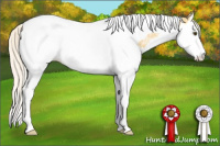 Horse Color:Silver Buckskin Ice Dun Sabino Splash Tobiano Varnish Rabicano 
