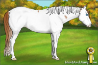 Horse Color:Chestnut Ice Splash Tobiano Varnish Rabicano 