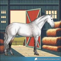 Horse Color:Gray Bay