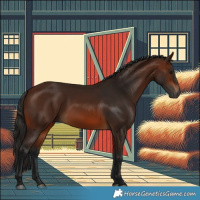 Horse Color:Gray Bay 