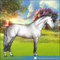 Horse Color:Gray Bay 