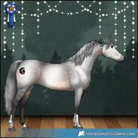 Horse Color:Gray Brown Tobiano 