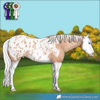 Horse Color:Silver Classic Champagne Splash Appaloosa