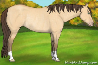 Horse Color:Sable Cream Champagne Dun Rabicano 