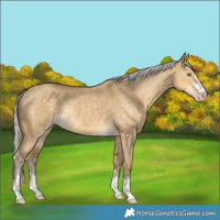 Horse Color:Silver Classic Cream Champagne Dun Rabicano 