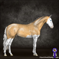 Horse Color:Silver Amber Cream Champagne Splash